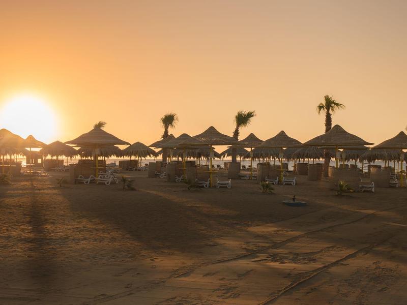 Coucher de soleil sur une plage avec des parasols en bois et des palmiers.