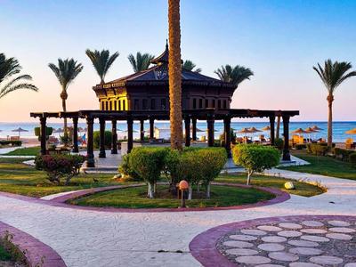 Station balnéaire avec pavillon élégant et palmiers au coucher du soleil près de la mer.