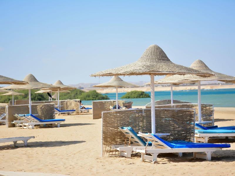 Chaises longues vides avec parasols en paille sur une plage de sable face à la mer sous un ciel bleu.