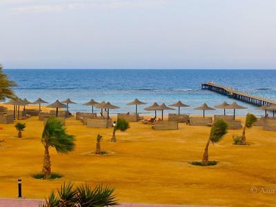 Strand met palmbomen, parasols en een pier die in zee uitsteekt onder een heldere hemel.