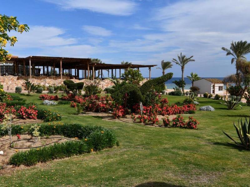 Jardin paysager avec pelouse verte, fleurs, palmiers et un bâtiment ouvert au bord de la mer.