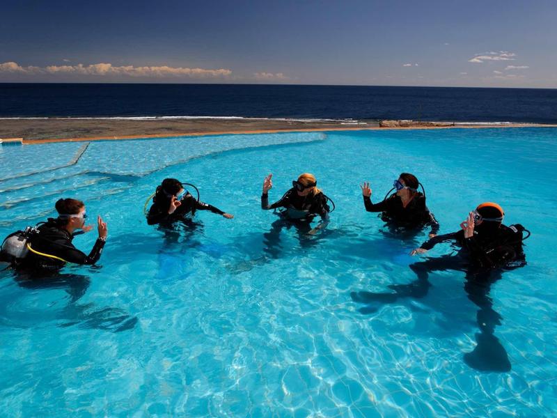 Fünf Taucher im blauen Wasser eines Außenpools bei klarem Himmel, mit Blick aufs Meer.