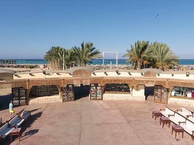 Offene Freiluftarena mit Reihen von Holzbänken und palmenumgebenem Meerblick