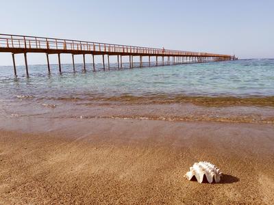 Un lungo molo si estende sul mare calmo, con una singola conchiglia sulla spiaggia sabbiosa.