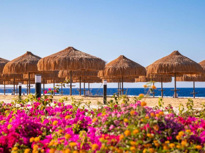 Sandstrand mit strohgedeckten Sonnenschirmen, blühenden pinken Blumen und blauem Himmel.