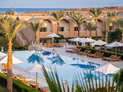 Piscina dell'hotel con palme, lettini e ombrelloni davanti a un edificio dell'hotel vicino al mare.