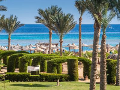 Spiaggia soleggiata con palme e siepi verdi in un resort tropicale.
