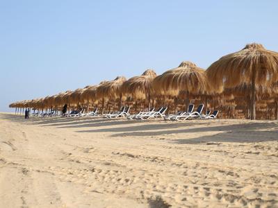 Rij strohoedzonneschermen en ligstoelen op het zandstrand onder een heldere hemel.