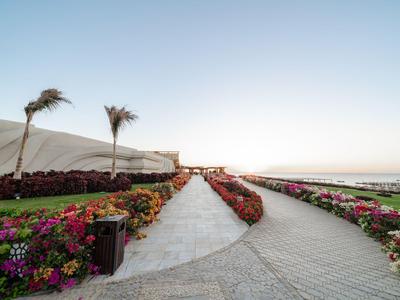 Due sentieri fiancheggiati da fiori e palme conducono a una spiaggia sotto un cielo limpido.