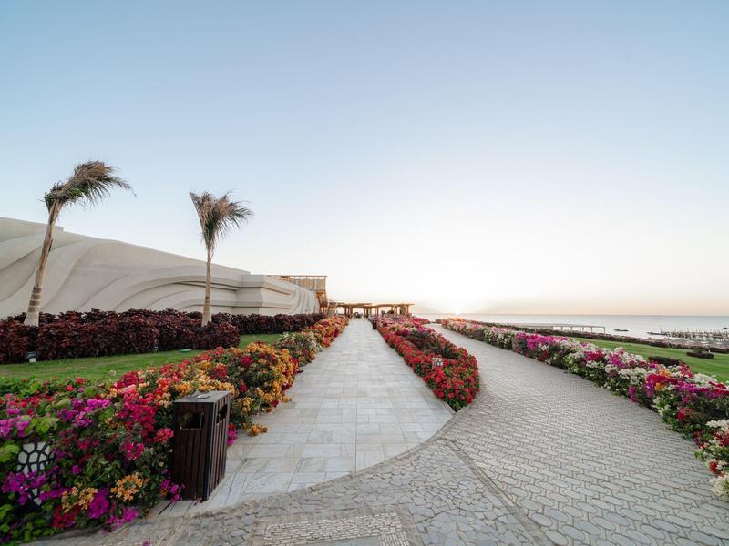 Deux chemins bordés de fleurs colorées et de palmiers sous un ciel dégagé.