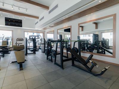 Moderní posilovna s různými tréninkovými stroji a velkými zrcadly na stěně.