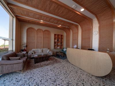 Großer Raum mit geschwungenem, beigem Tresen, Sofas, Teppich und Regalen, helle Holzwände.