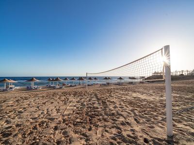 Pusta piaszczysta plaża z siatką do siatkówki i rzędami parasoli nad morzem pod czystym niebem.