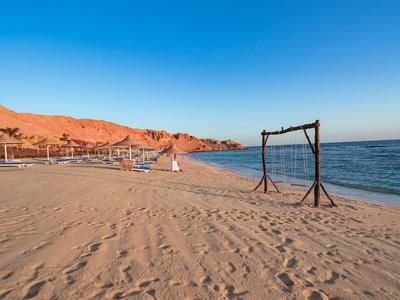 Jasny widok plaży z drewnianą huśtawką, namiotem plażowym i skalistym wybrzeżem pod niebieskim niebem