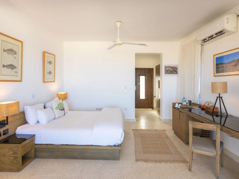 Habitación de hotel luminosa y moderna con cama doble, escritorio, ventilador y decoración minimalista.