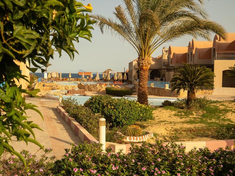 Jardin d'hôtel avec palmiers, oranger et vue sur la plage de sable au lever du soleil.