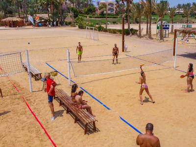 Diverse persone giocano a beach volley su un campo sabbioso con palme sullo sfondo.