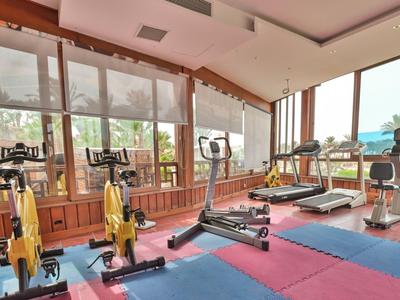 Palestra moderna con varie attrezzature per allenamento e grandi finestre con vista sul verde.