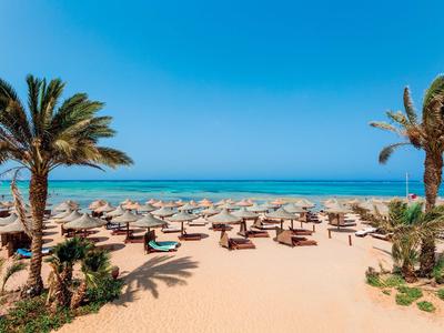 Spiaggia con palme, ombrelloni e lettini davanti al mare e al cielo azzurro.