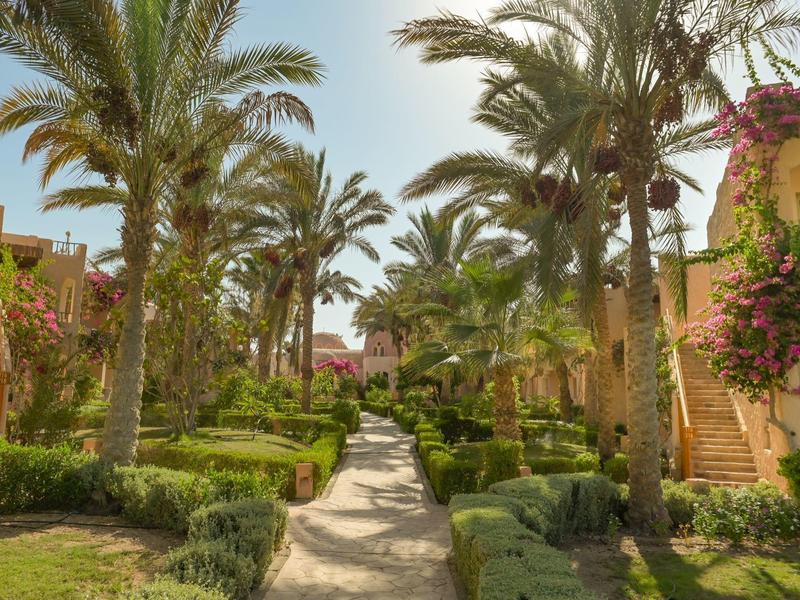 Ścieżka między budynkami otoczonymi palmami w słonecznym kurorcie hotelowym.