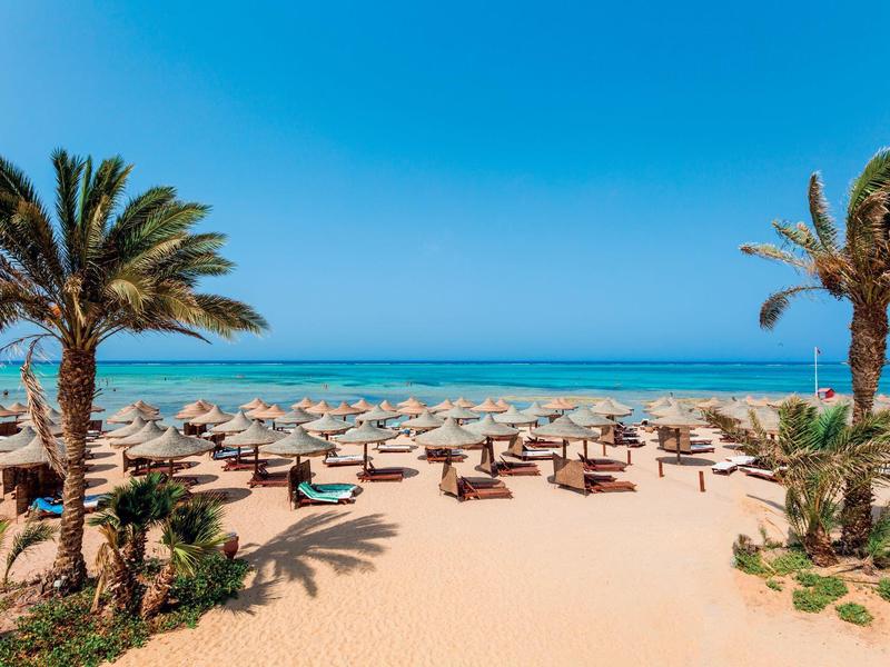 Plaża z leżakami, parasolami i palmami pod czystym niebieskim niebem i spokojnym morzem.