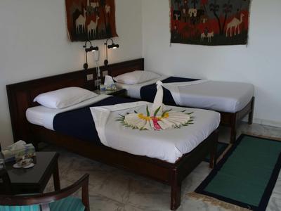 Deux lits simples avec une literie blanche et bleue décorative dans une chambre d'hôtel simple.