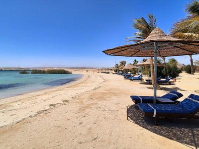 Sonnenschirme und Liegestühle am ruhigen Sandstrand mit Blick auf das blaue Meer.