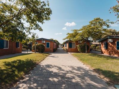 Pathway between small red holiday cabins and green trees under sunny weather.