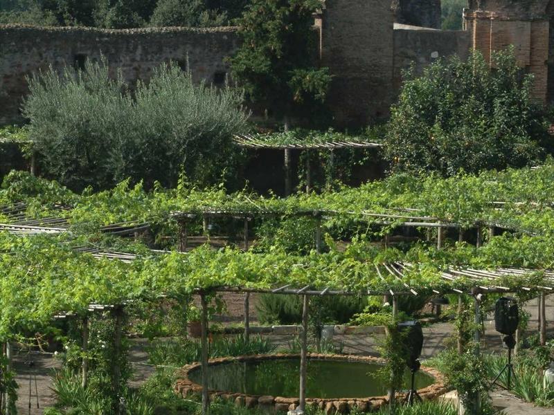 Grüner Garten mit Rebstöcken vor einer alten Steinmauer und einem weißen Gebäudeteil im Hintergrund.
