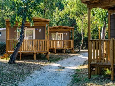 Gezellige houten hutten met veranda's in een bosrijk vakantiepark met schaduwrijke paden.