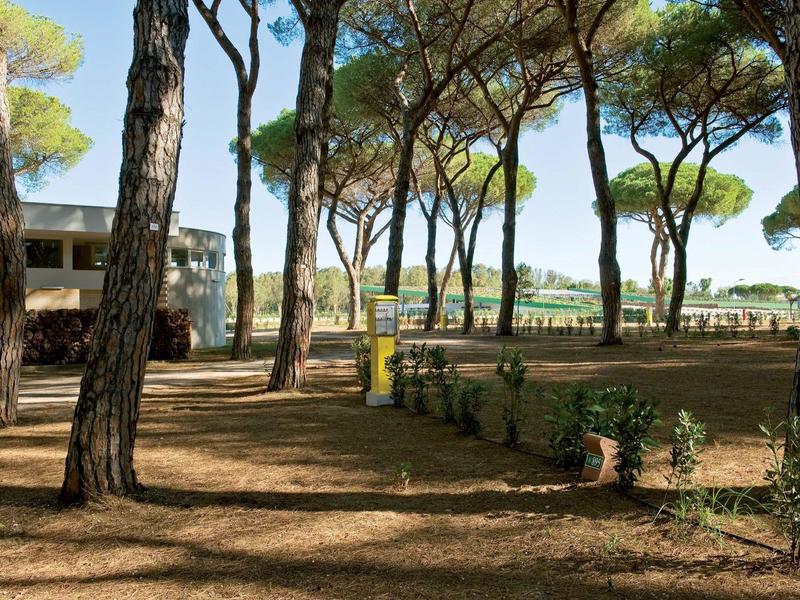 Schaduwrijke parkgebied met pijnbomen en een modern gebouw op de achtergrond