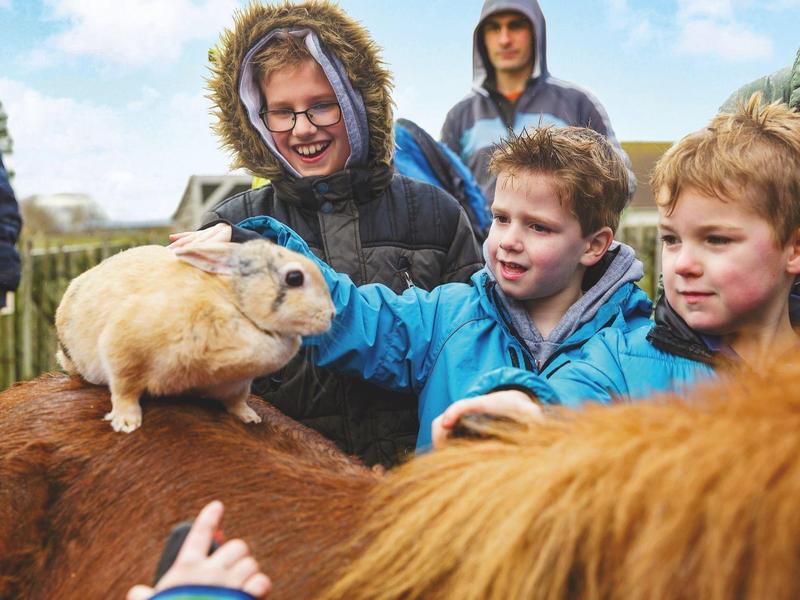 Kinder streicheln aufmerksam ein kleines Kaninchen draußen bei leicht bewölktem Himmel.