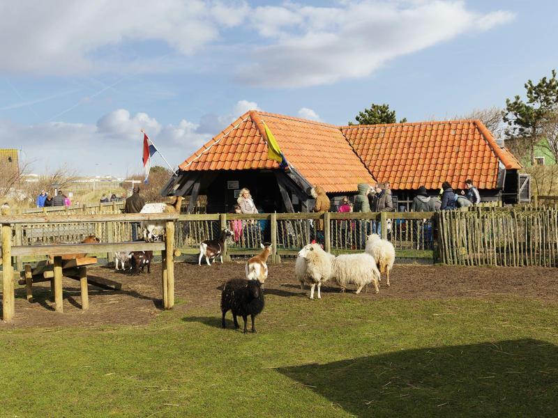 Ländliche Szene mit Bauernhof, Holzhaus, Schafen auf Weide und Menschen im Hintergrund.