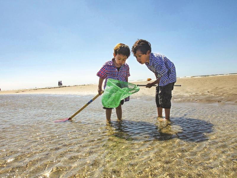 Zwei Jungen waten im flachen klaren Wasser am Strand bei sonnigem Himmel.