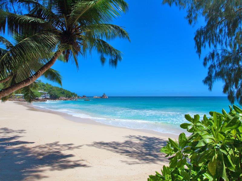 Spiaggia con sabbia bianca, palme e cielo azzurro limpido vicino al mare.