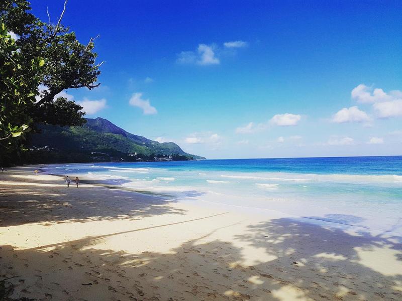 Una playa de arena vacía con cielo azul claro, montañas al fondo y sombras de árboles en primer plano.