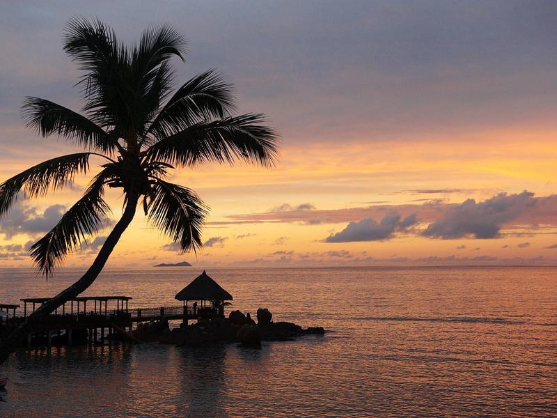 Palmbaum am Meer bei Sonnenuntergang mit Holzhütte auf Steg und ruhigem Wasser.