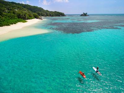 Dwóch kajakarzy płynie po przejrzystej turkusowej wodzie blisko białej piaszczystej plaży z zalesionym wybrzeżem.
