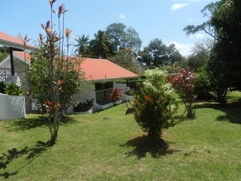 Grüner Garten mit kleinen Bäumen und Haus mit rotem Dach im Hintergrund unter blauem Himmel.