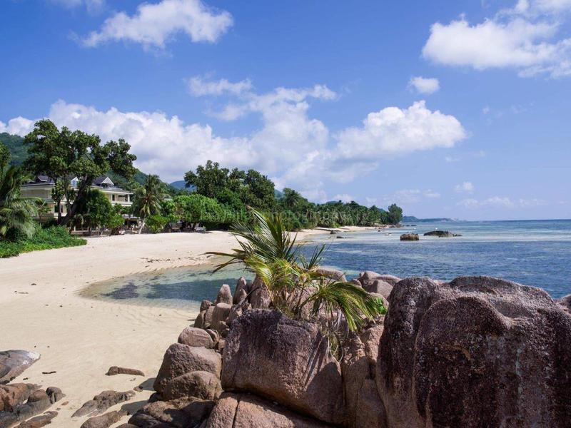 Quiet sandy beach with palm trees and rocks by the clear blue sea under a blue sky.