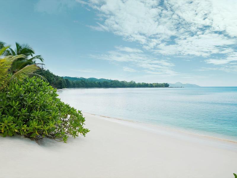 White sandy beach with green palms and calm blue sea under a cloudy sky