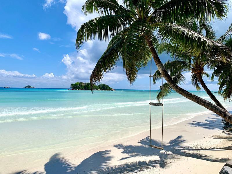 Una playa tropical con palmeras, cielo azul, agua clara y un columpio en la orilla.
