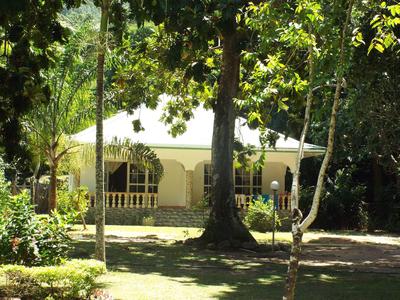 Haus mit heller Fassade, Vordach und Balkon, umgeben von hohen Bäumen und grüner Vegetation.