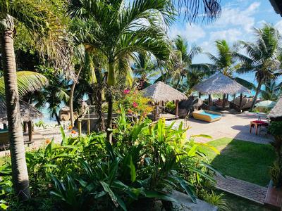 Tropische Gartenanlage mit Palmen und Blick auf Strandliegen und Meer.