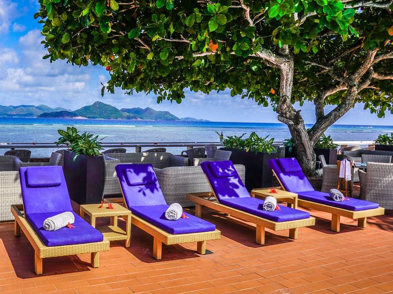 Vier lila Liegestühle mit weißen Handtüchern stehen unter einem großen Baum am Meer.