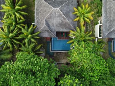 Three rooftop pools surrounded by lush greenery and palm trees, viewed from above.