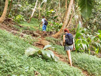 Two hikers ascend a green, overgrown trail in a tropical forest.