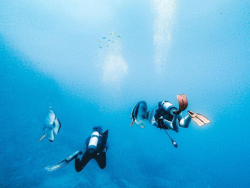 Zwei Taucher erkunden das blaue Meer mit Sonnenlicht von oben