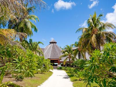 Ein tropischer Gartenweg führt zu einer Hütte mit Strohdach, umgeben von Palmen und blühenden Pflanzen.