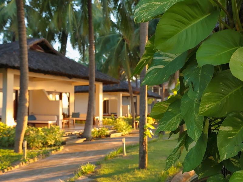 Bungalows mit Veranda in tropischer Umgebung, umgeben von Palmen und grünen Blättern.